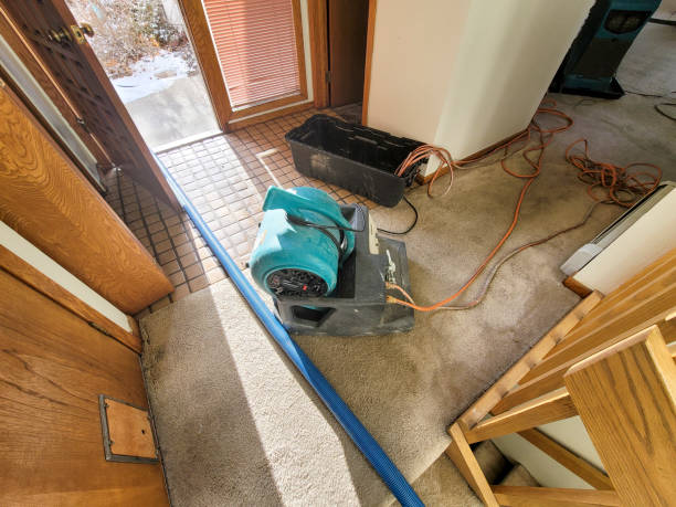 Best Residential water damage restoration  in Greensboro, NC