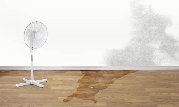 Best Commercial water damage restoration  in Greensboro, NC